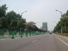 广玉兰市政护栏和花坛